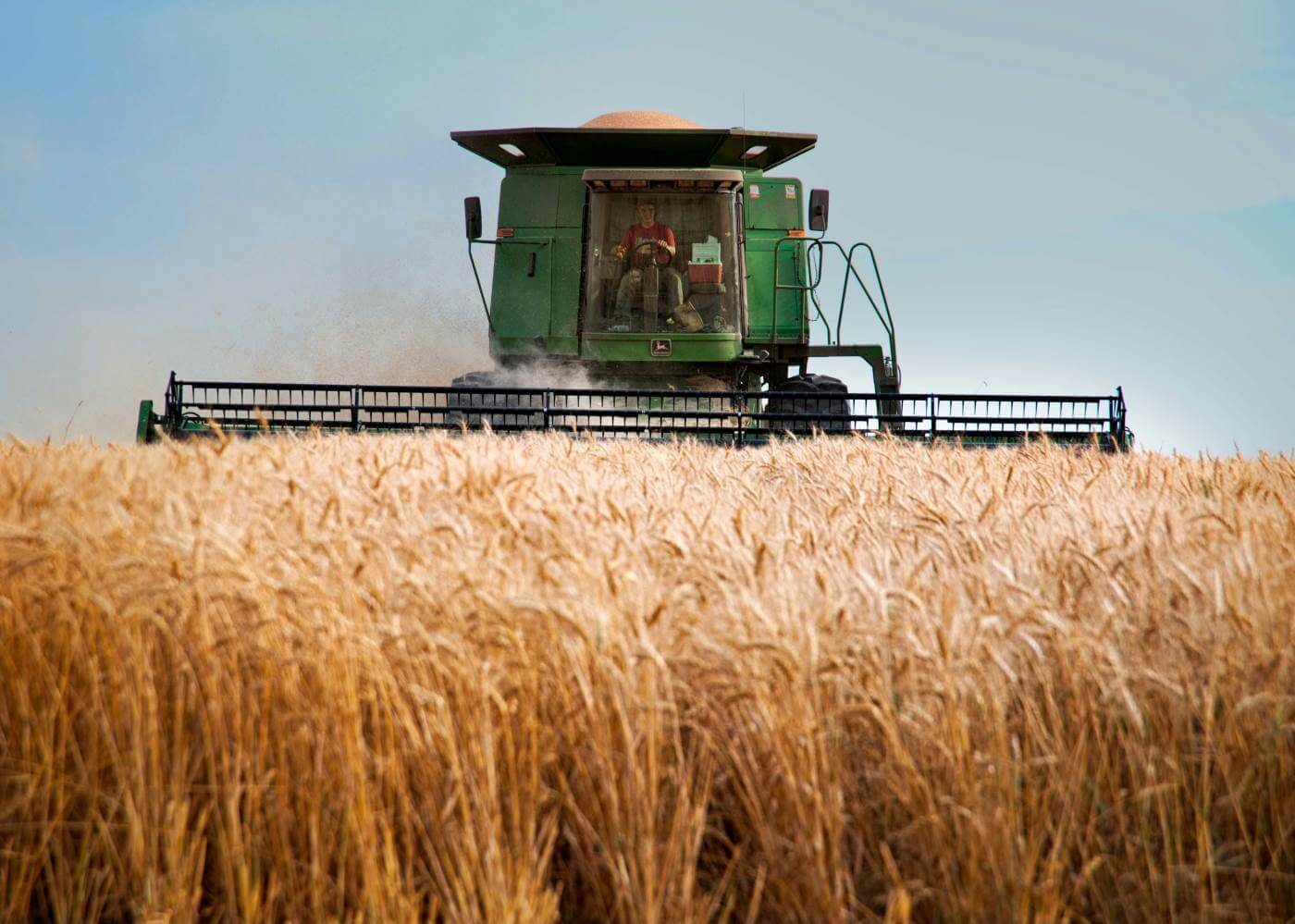 Magnets in The Spice and Grain Industries